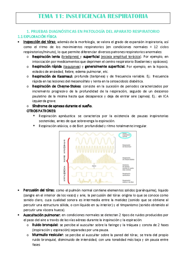 TEMA-11.pdf