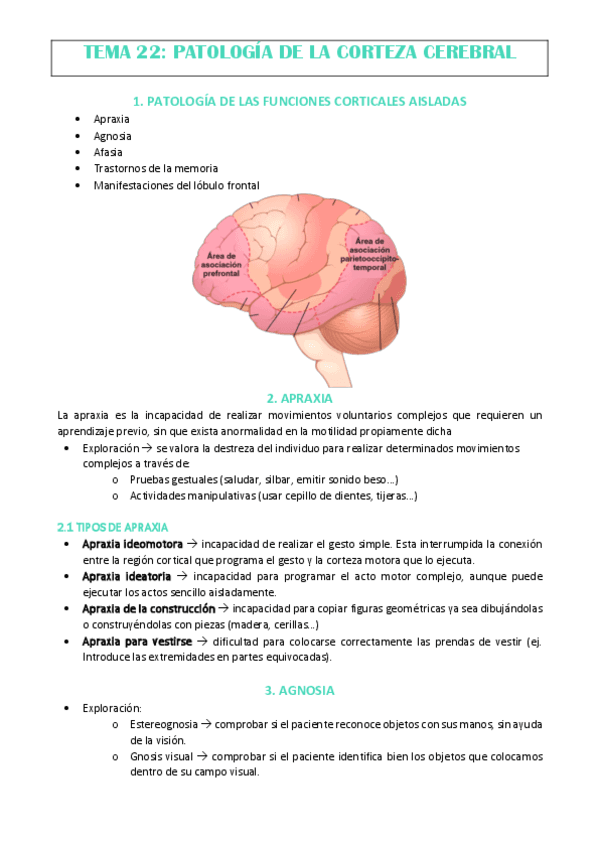 TEMA-22.pdf