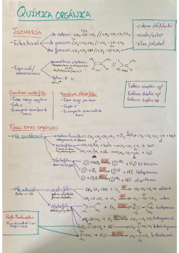 Tema-8-Quimica-organica.pdf
