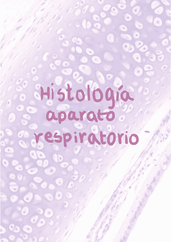 Histologia-del-aparato-respiratorio.pdf