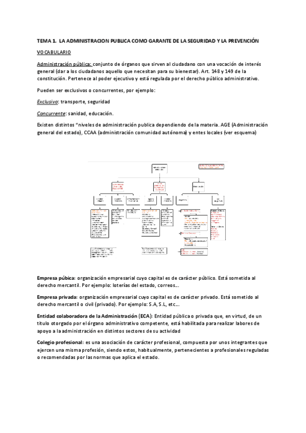 TEMA-1vocabulario.pdf