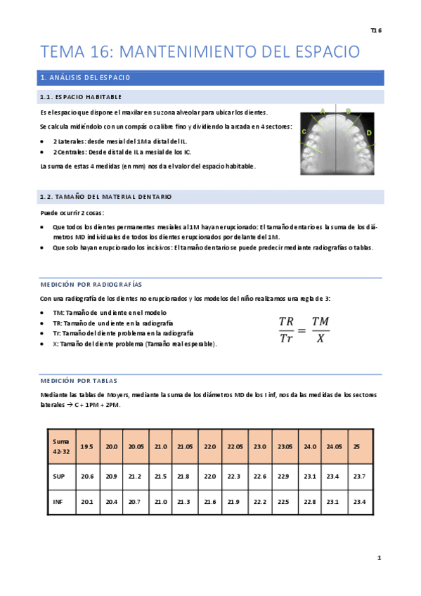 Tema-16.pdf