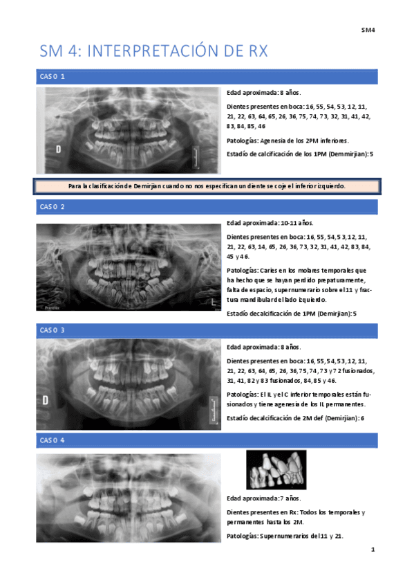 SM4.pdf