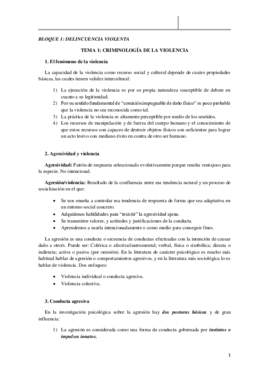 TEMA 1.pdf