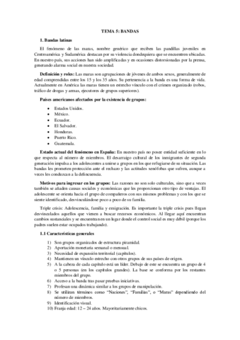 TEMA 5.pdf