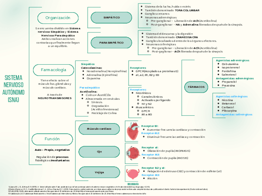 Farmacologia-SNA.pdf