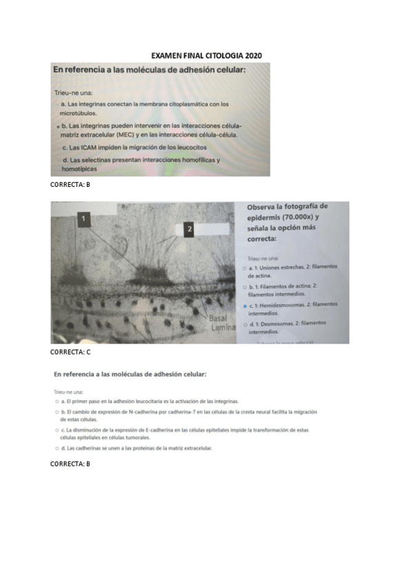 examen-final-2020.pdf