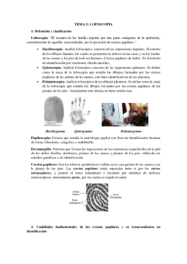 TEMA 3.pdf