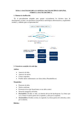 TEMA 5.pdf