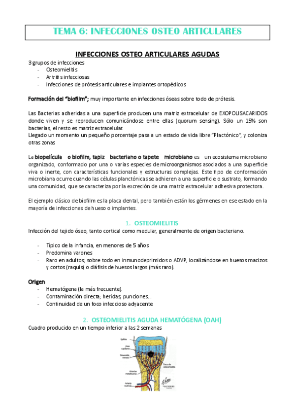 TEMA-6.-DR-REDIN.pdf