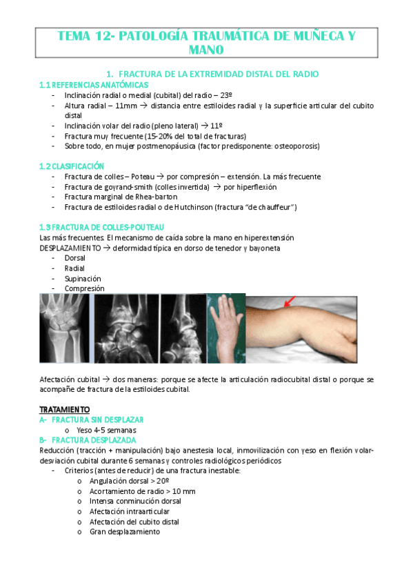 TEMA-12-DR-DIAZ.pdf