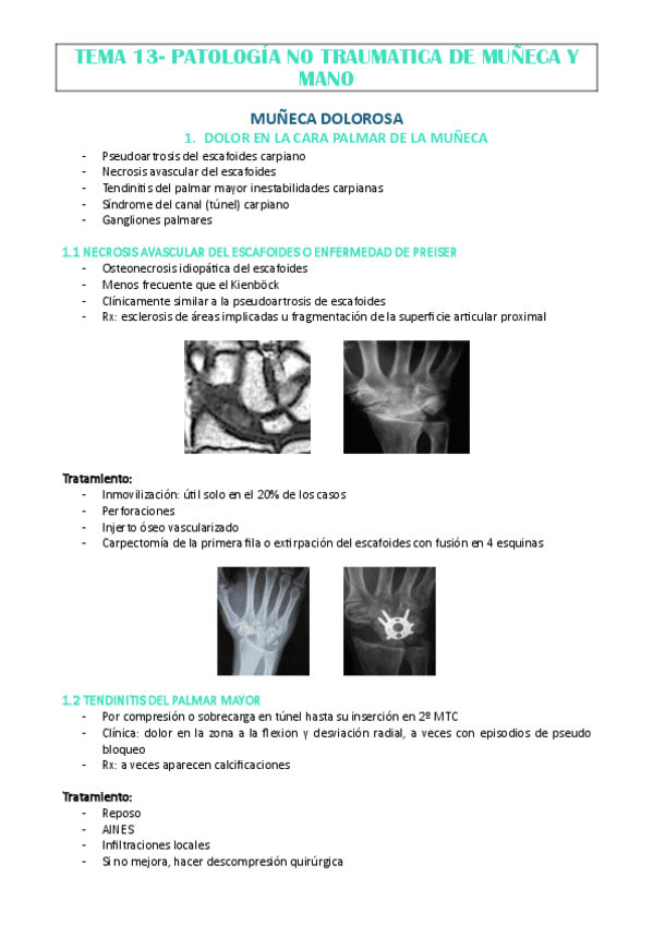 TEMA-13-DR-DIAZ.pdf