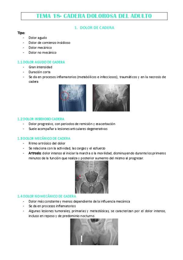 TEMA-18-MARISA.pdf