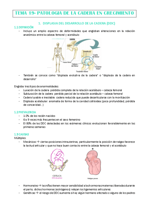 TEMA-19-ANA-CHECA.pdf