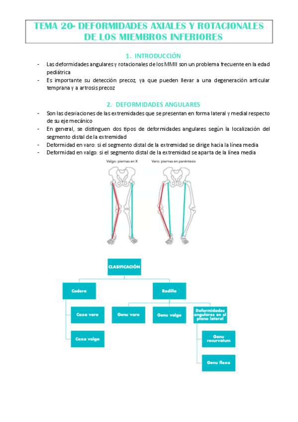 TEMA-20-ANA-CHECA.pdf