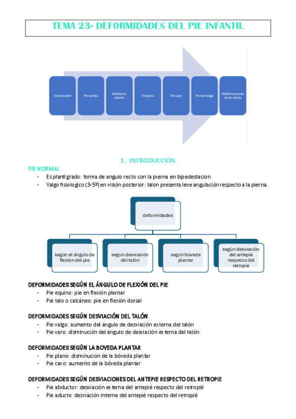 TEMA-23-ANA-CHECA.pdf