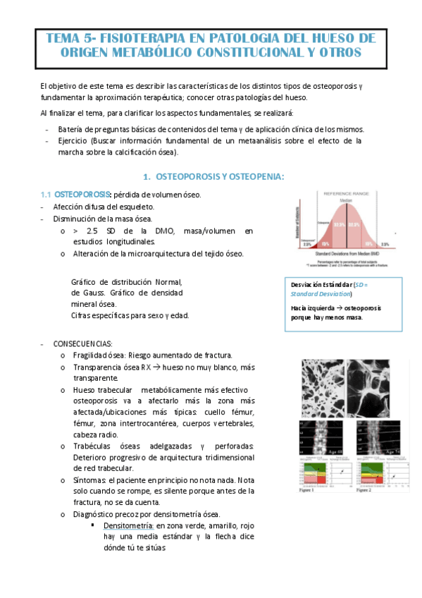 TEMA-5-EVA.pdf
