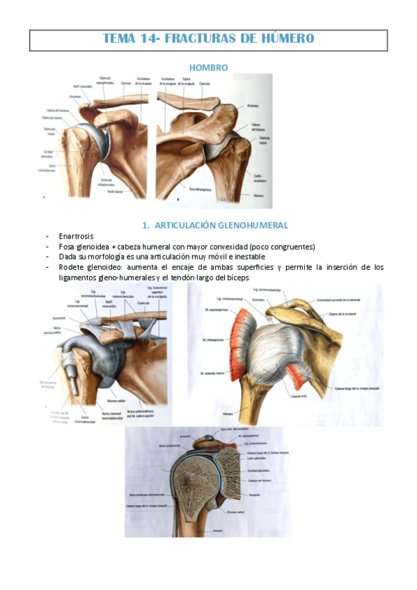 TEMA-14-JAVI-MOLINA.pdf