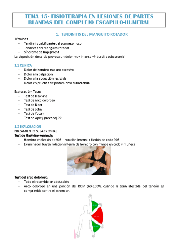 TEMA-15-JAVI-MOLINA.pdf