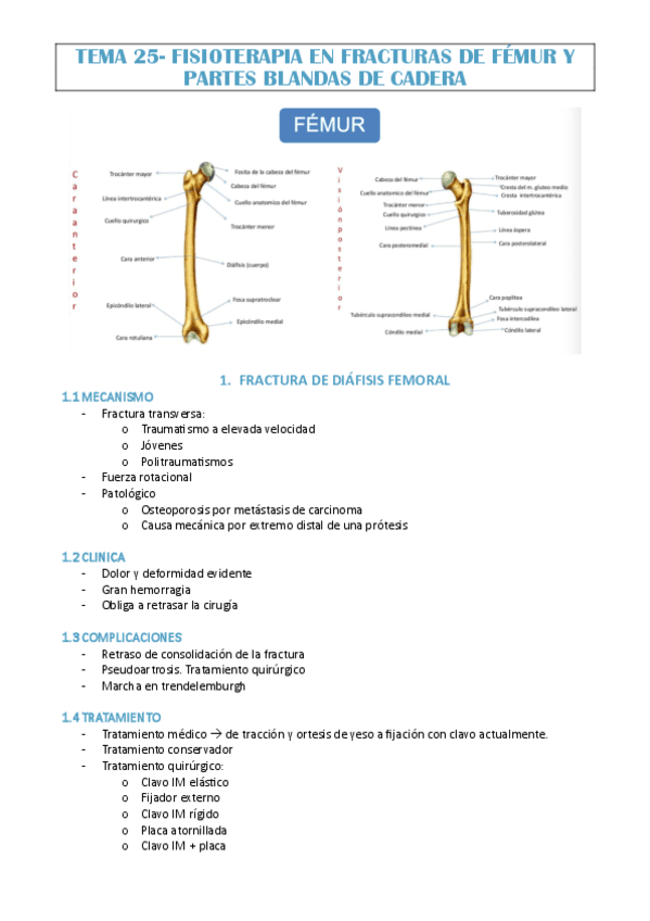 TEMA-25-JAVI-MOLINA.pdf