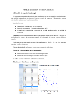 TEMA 1.pdf