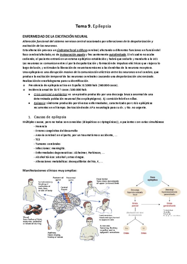 Tema-9.-Epilepsia.pdf