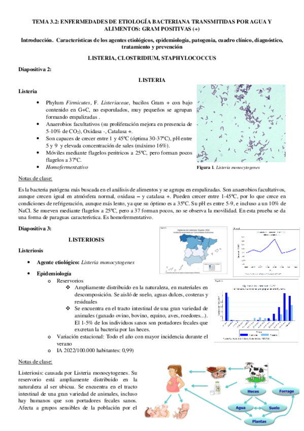 Imprimir-Tema-3.2.pdf