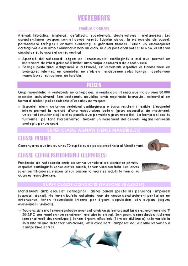 Vertebrats.pdf