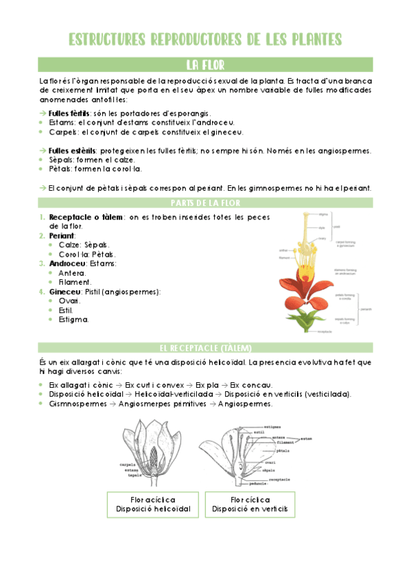estructures-reproductores-de-les-plantes.pdf
