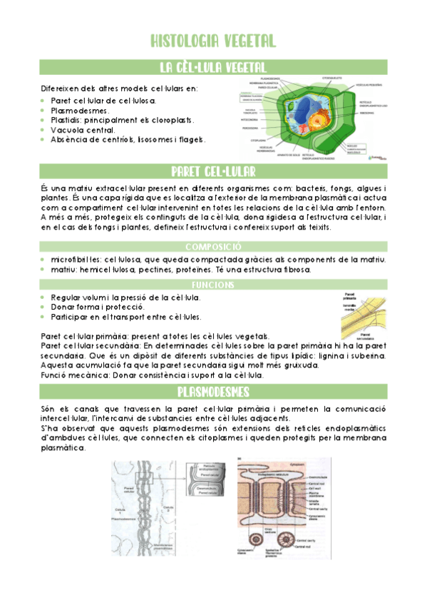 Histologia-vegetal.pdf