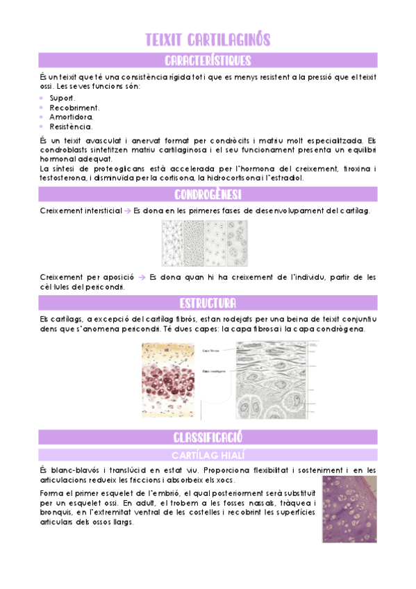 Teixit-cartilaginos.pdf