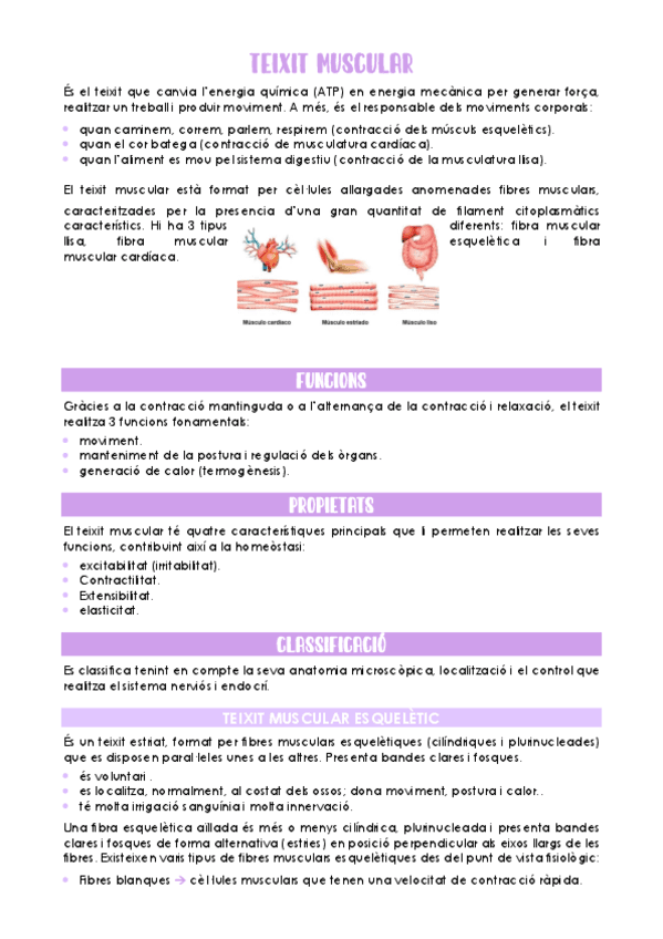 Teixit-muscular.pdf