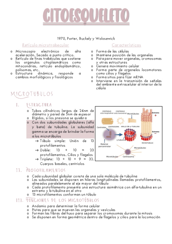 B3-CITOESQUELETO.pdf