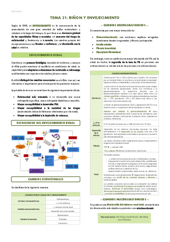 T21-Rinon-y-envejecimiento.pdf