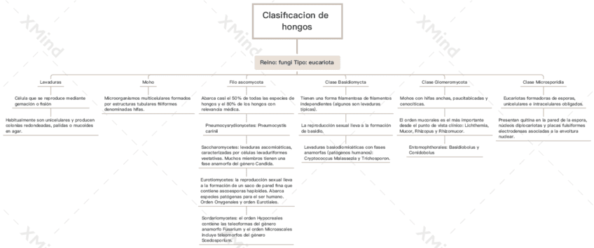Clasificacion-de-hongos.pdf