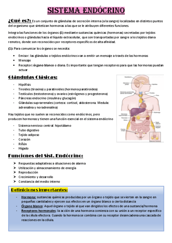 RESUMEN3ERPARCIALFISIO.pdf