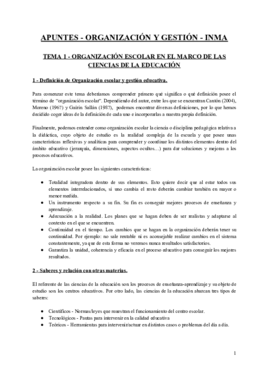 APUNTES - ORGANIZACIÓN Y GESTIÓN.pdf