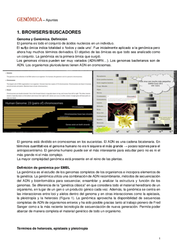 GENOMICA-Apuntes.pdf