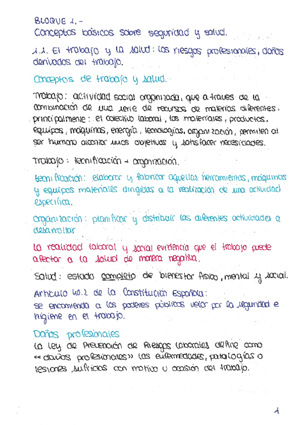 CONCEPTOS-BASICOS-SOBRE-SEGURIDAD-Y-SALUDAPUNTES.pdf