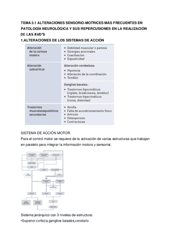 TNERVIOSO-tema-3.1-tema-3.2.pdf