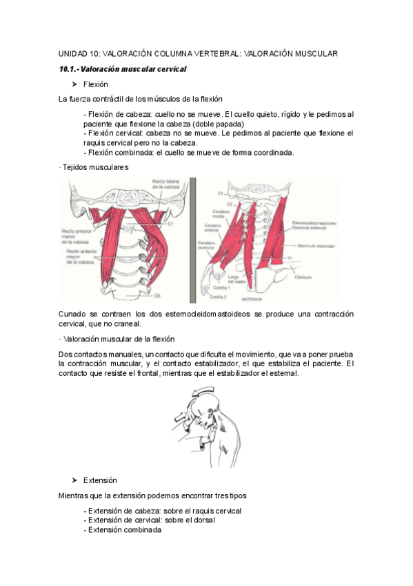 UNIDAD-10VALORACION-COLUMNA-VERTEBRALVALORACION-MUSCULAR.pdf