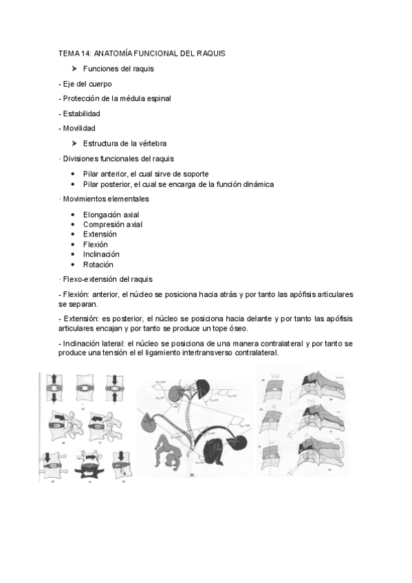 TEMA-14ANATOMIA-FUNCIONAL-DEL-RAQUIS.pdf
