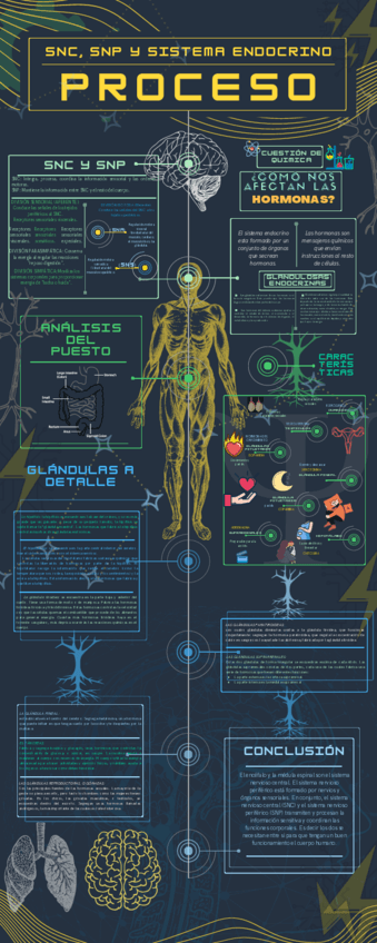 SNC-SNP-Y-SISTEMA-ENDOCRINO.pdf