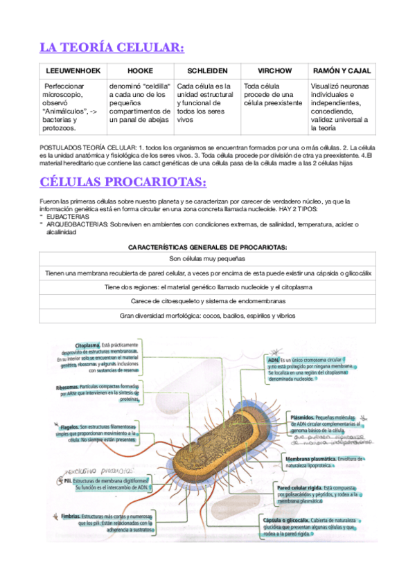 La-celula.pdf