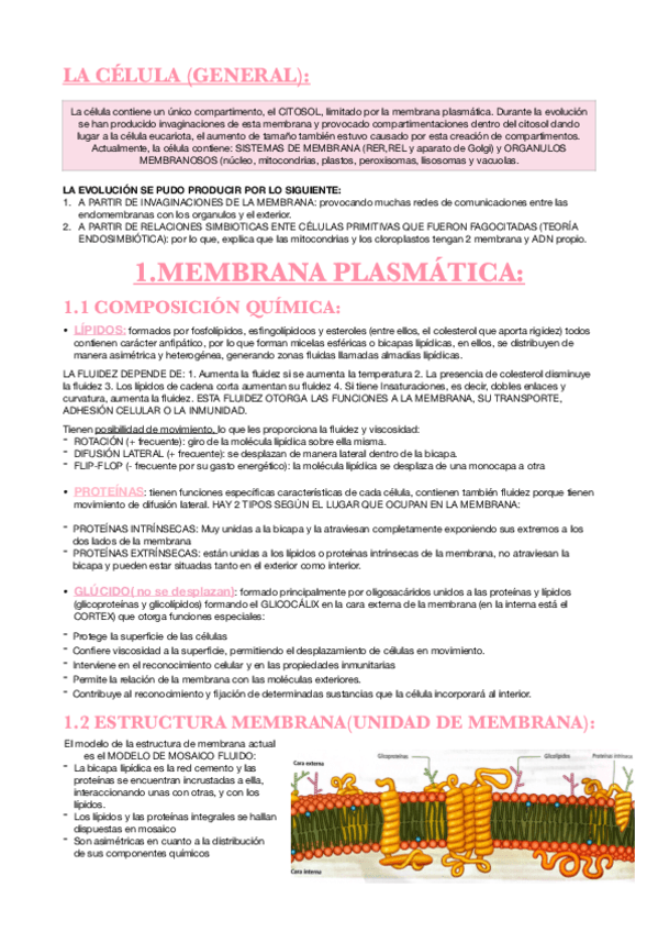 Membrana-y-organulos.pdf