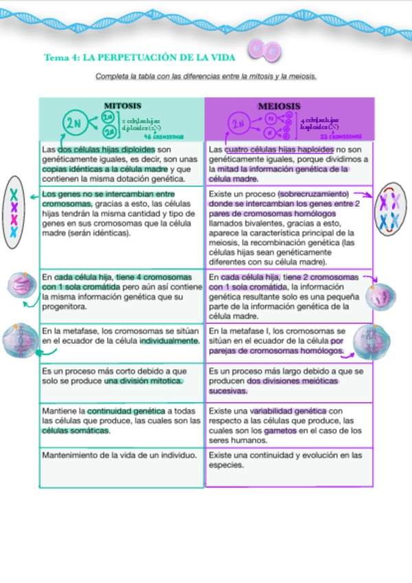 mitosis-and-meiosis.pdf