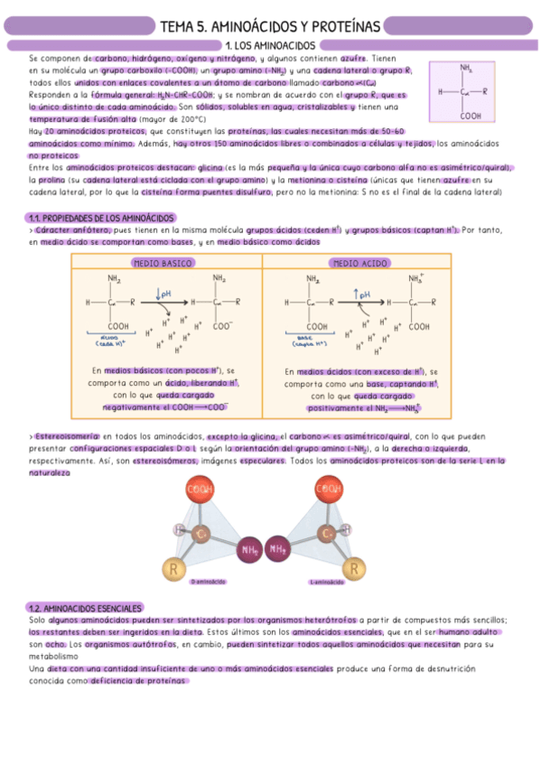 Aminoacidos-bueno.pdf