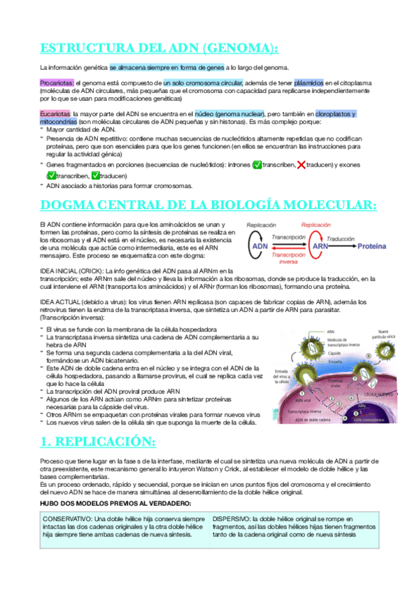 ADN-bueno.pdf