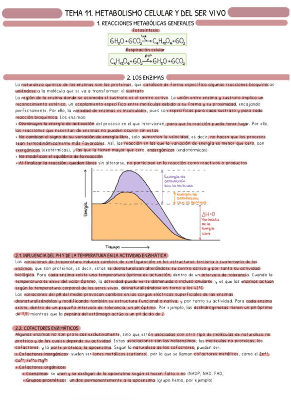 Introduccion-metabolismo.pdf