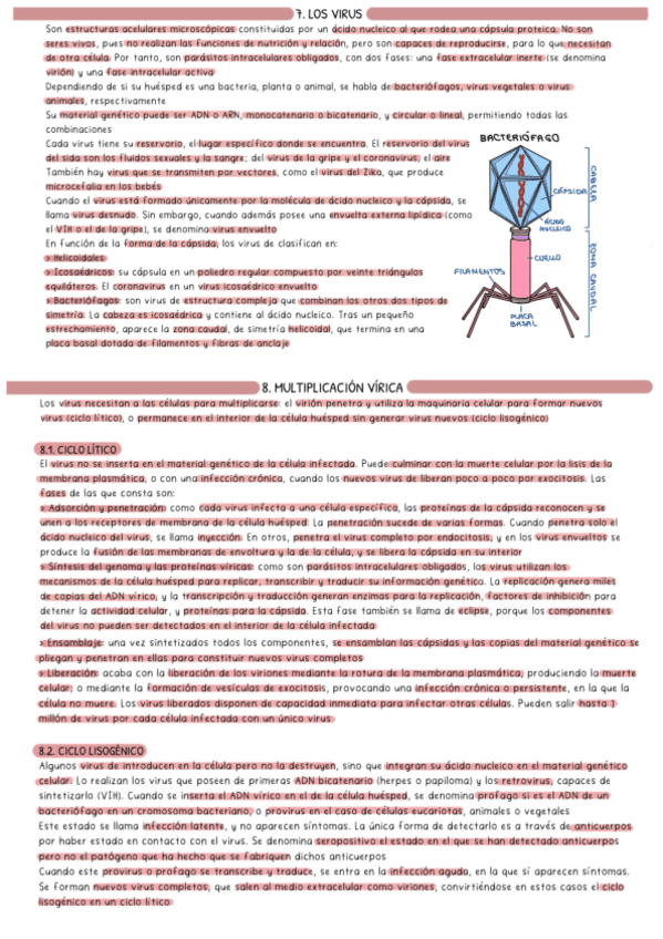 Microbiologia.pdf